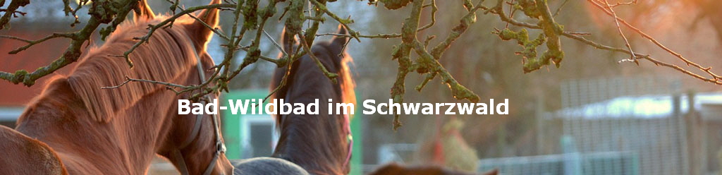 Bad-Wildbad im Schwarzwald