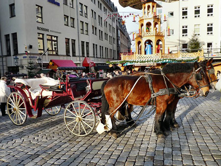 horse-drawn-carriage-450