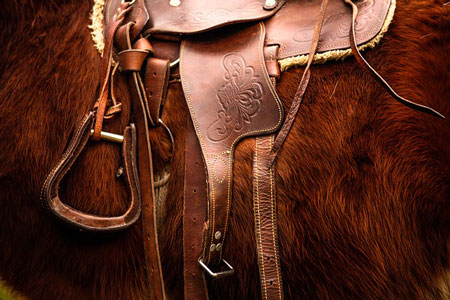 saddle-450