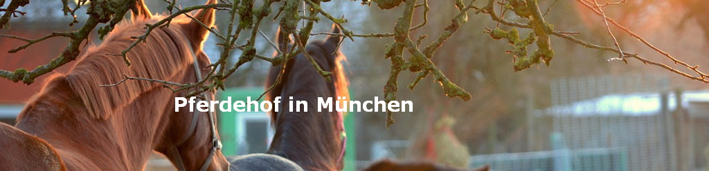 Pferdehof in München